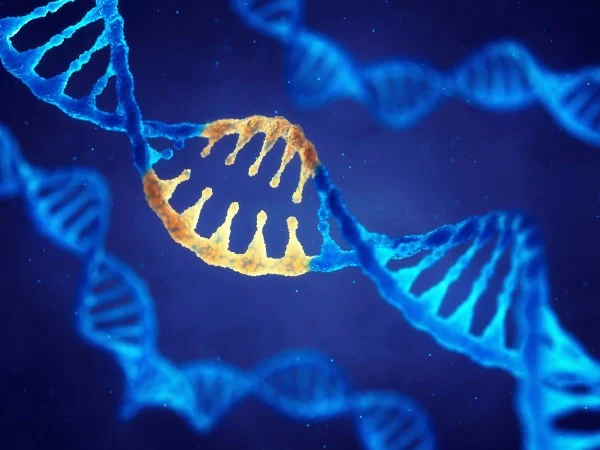 Descubrimiento revolucionario: Inteligencia Artificial identifica más de 70,000 nuevos virus de ARN