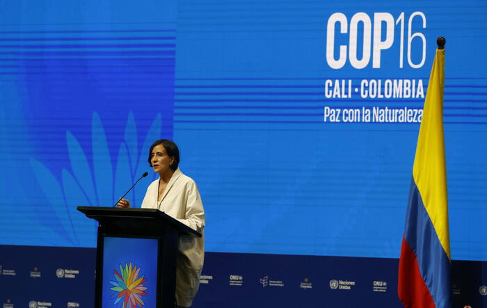 Inicia la COP16 en Colombia con la participación de más de 190 países para abordar la crisis global de biodiversidad Inicia la COP16 en Colombia con la participación de más de 190 países para abordar la crisis global de biodiversidad