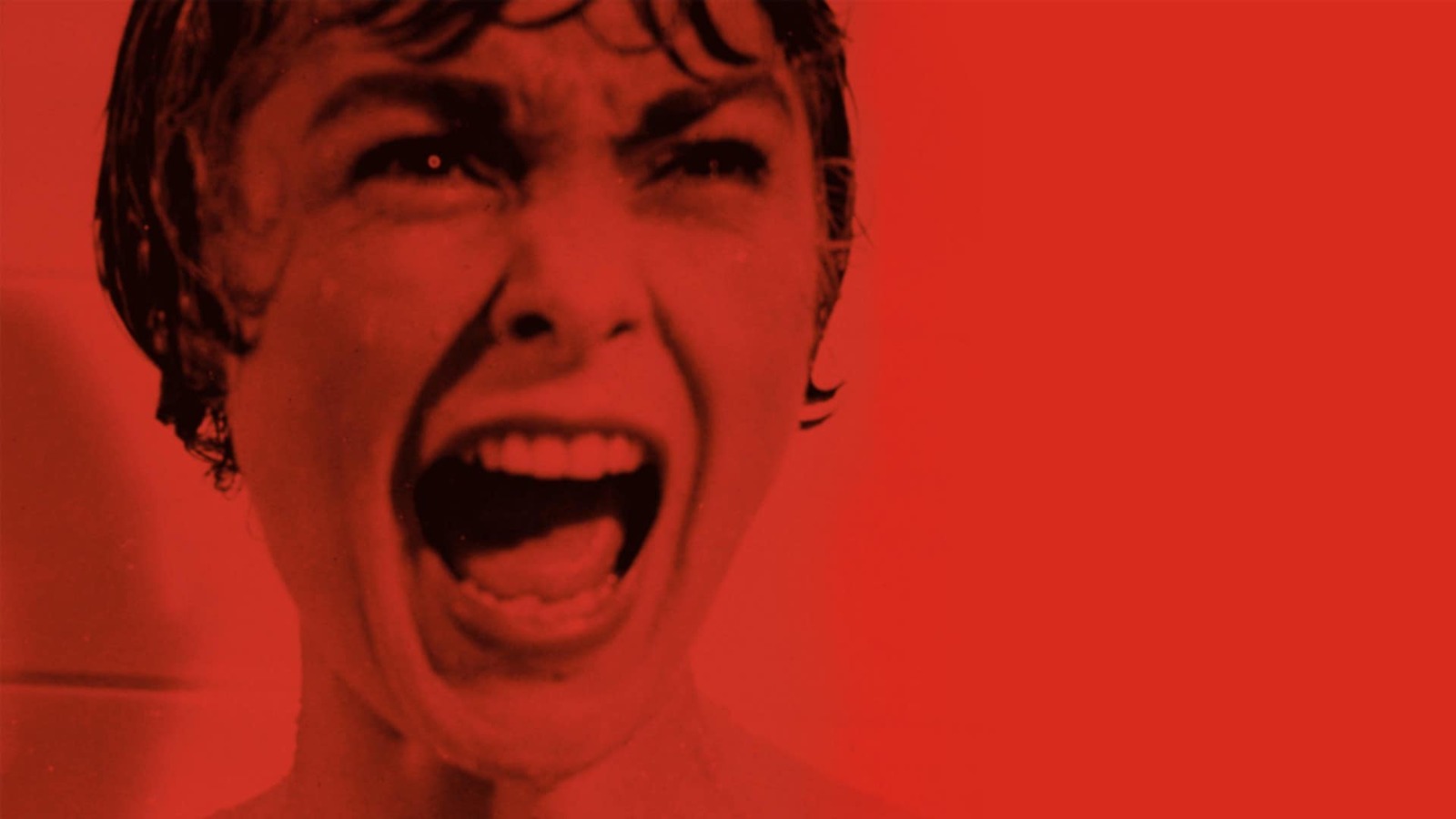 Cinco Clásicos Del Cine De Terror Para Halloween