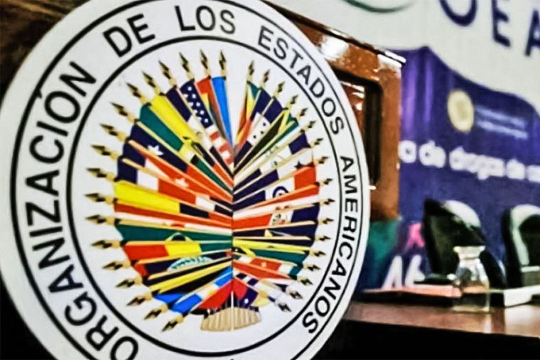 Catorce países de la OEA rechazan la investidura de Maduro por «carecer de legitimidad»