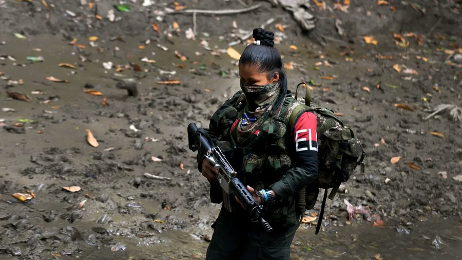 Fundaredes: «Urge una respuesta conjunta de Colombia y Venezuela para proteger a la población civil»