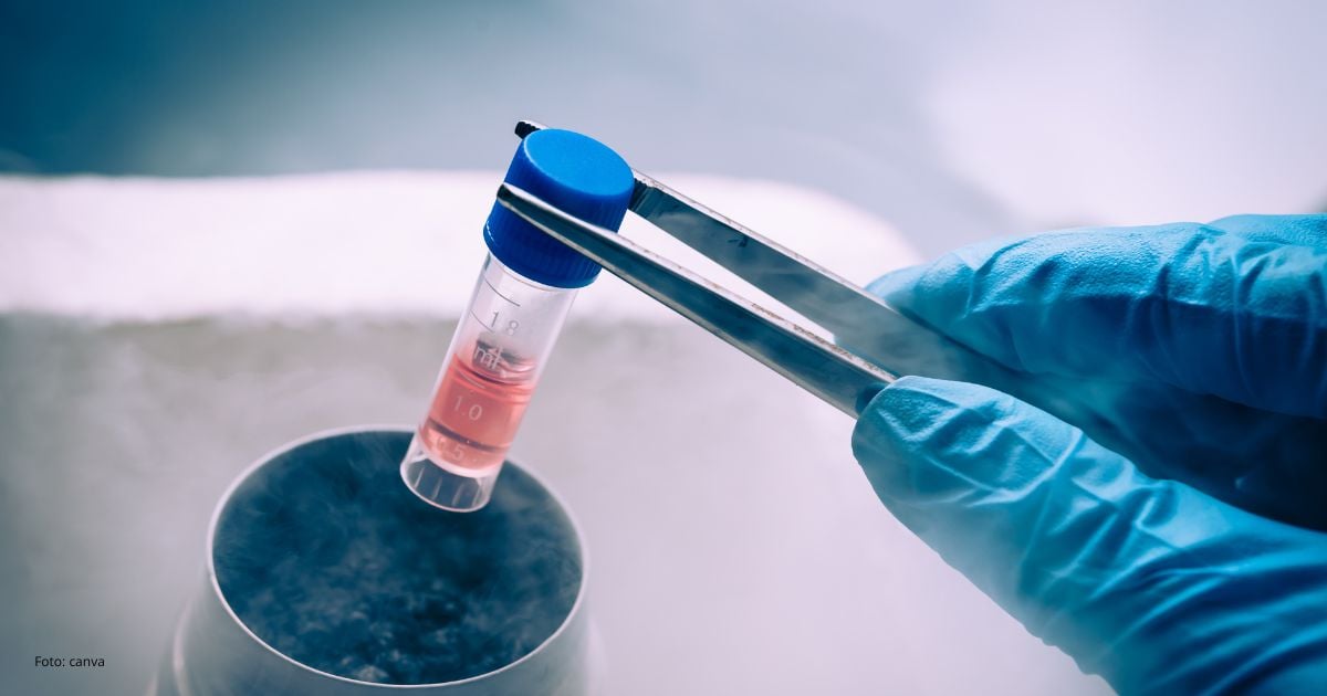 Células madre: la frontera de la ciencia para detener el envejecimiento