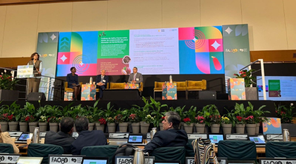 Café del Cauca y cacao del Huila promueven inversiones para Colombia en el Foro del Mundial de la FAO